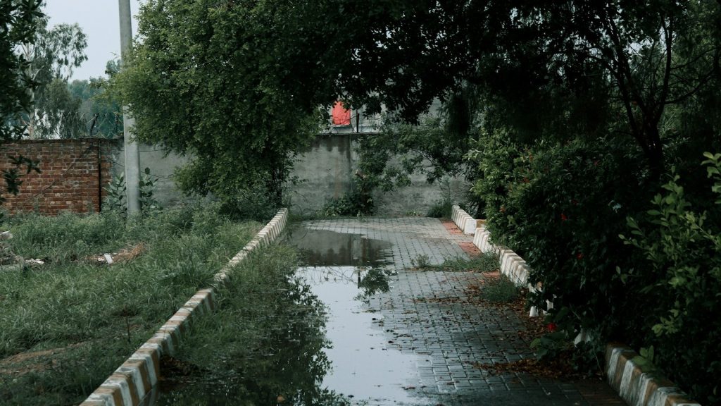 Μετά την καταστροφή, ποιος καλύπτει τη ζημιά;